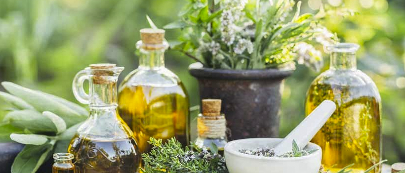 7 plantas medicinales que ayudan a aliviar el estrés