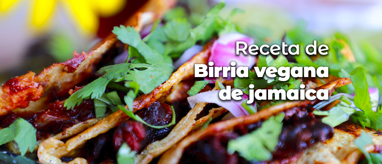 Receta de birria vegana de jamaica