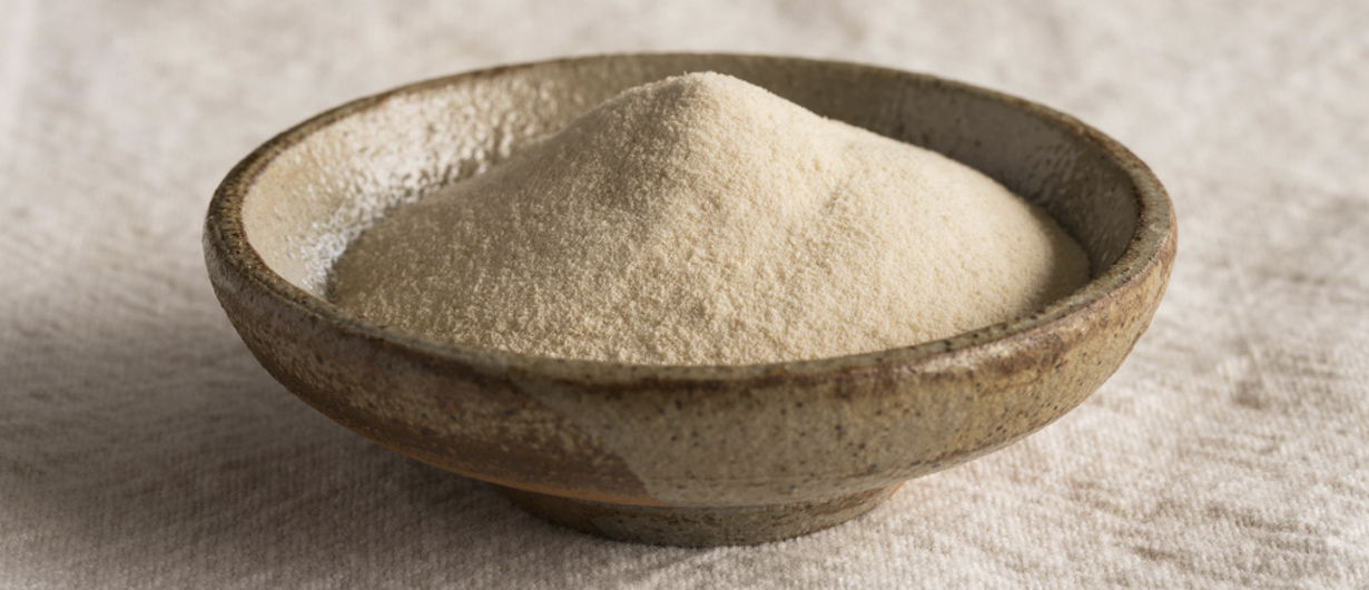 Recetas veganas con Agar-Agar